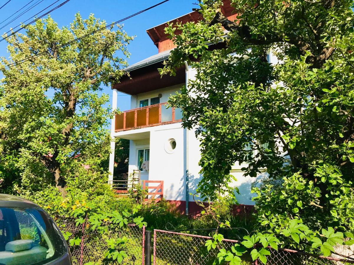 Apartament Vica Ґурагумора Екстер'єр фото