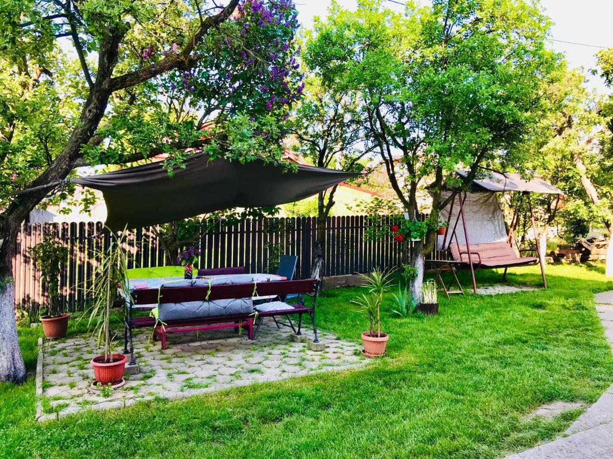 Apartament Vica Ґурагумора Екстер'єр фото